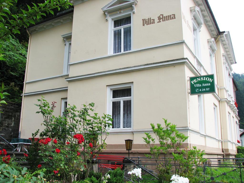 Pension Villa Anna Bad Schandau Ngoại thất bức ảnh